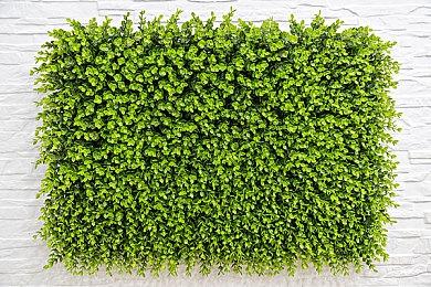 《任天堂Switch运动》日本首周售出19万 NS日本销量已超3DS